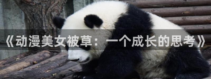 囧次元网页：《动漫美女被草：一个成长的思考》