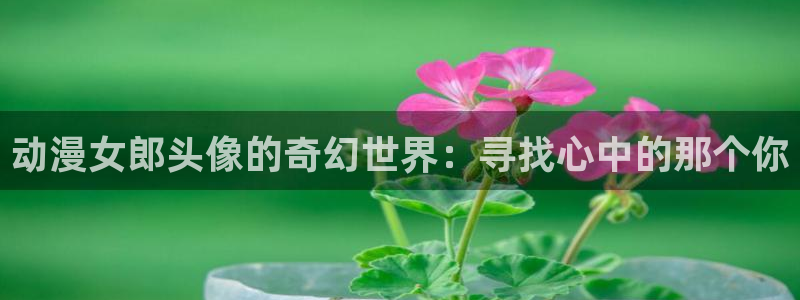 囧次元链接：动漫女郎头像的奇幻世界：寻找心中的那个你